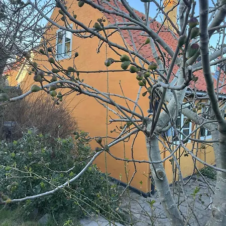 Idyllic Townhouse With Private Garden Villa *